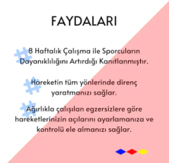 HAŞADO Duvara Kancalı Çift Bacak Kuvvet Direnç Lastik