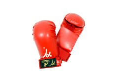 HAŞADO KARATE EL KORUYUCU ELDİVEN